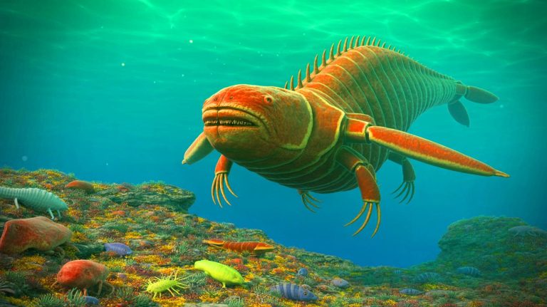 “Spiders Were Born of the Sea”: Shocking Ancient Fossil Proves These Creepy Crawlers Originated in the Ocean, Not on Land